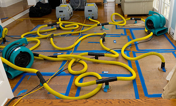 Professional Crawl Space Water Removal technician working in Dennis Port, MA